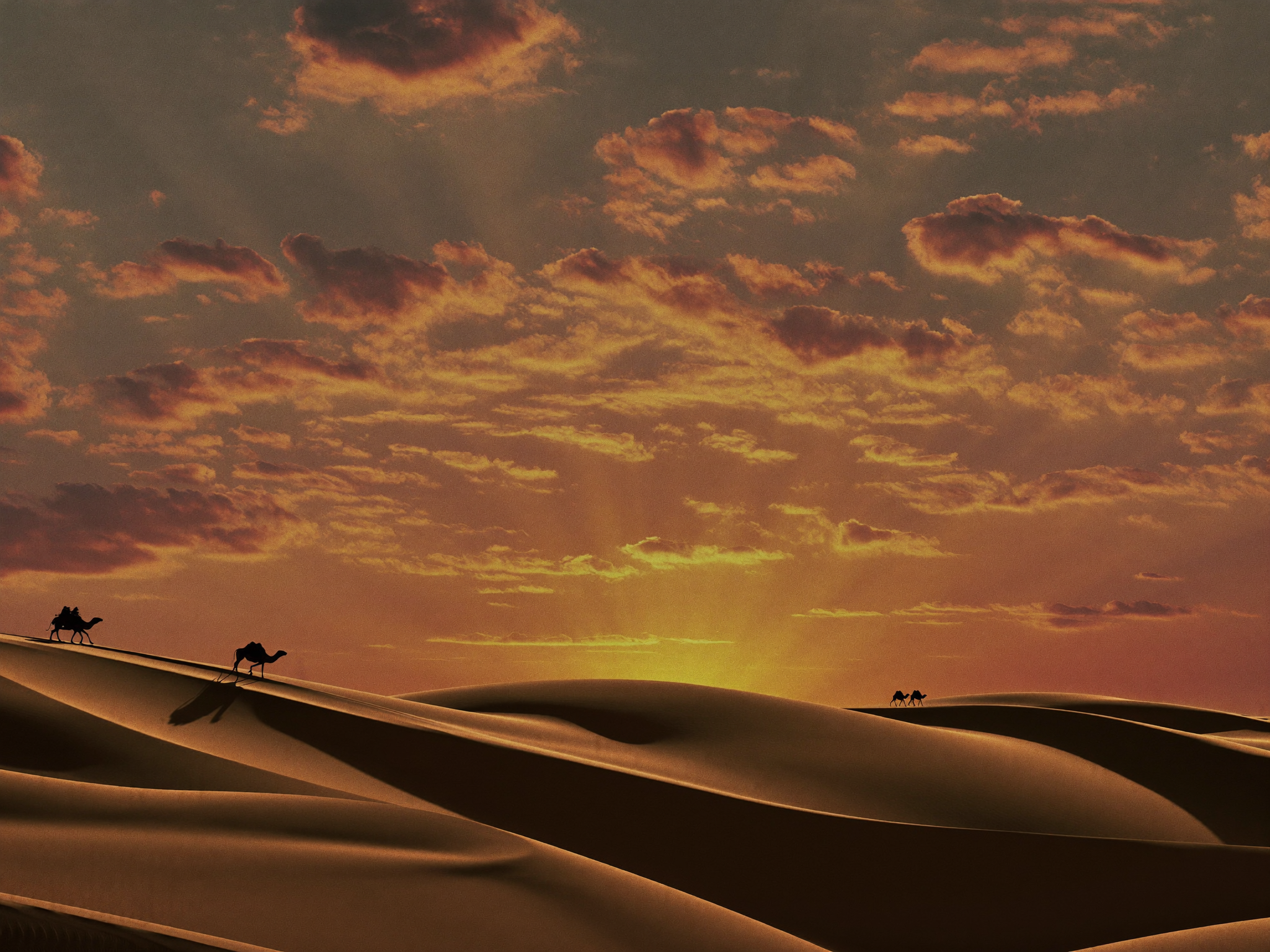 Desert